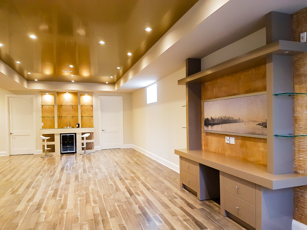 Basement Renovation